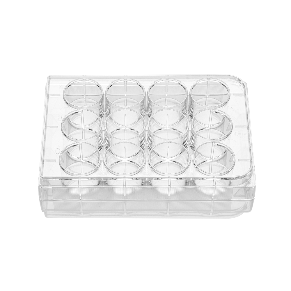 11230 12孔细胞培养板,多聚-D-赖氨酸包被表面 （11230）