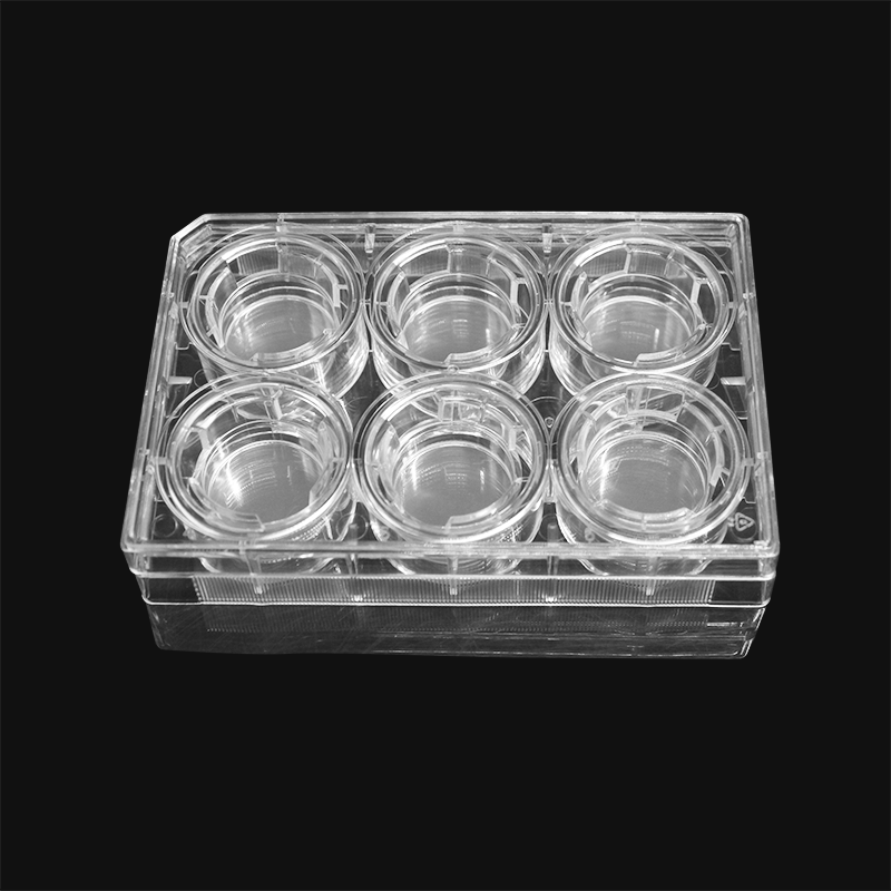 细胞培养小室,含6孔板(PET膜,24mm,孔径0.4μm)(14112)