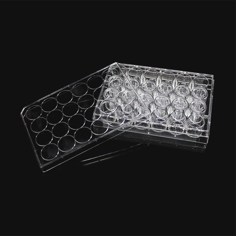 细胞培养小室,含24孔板(PET膜,不透明,6.5mm,孔径0.4μm)(14314)