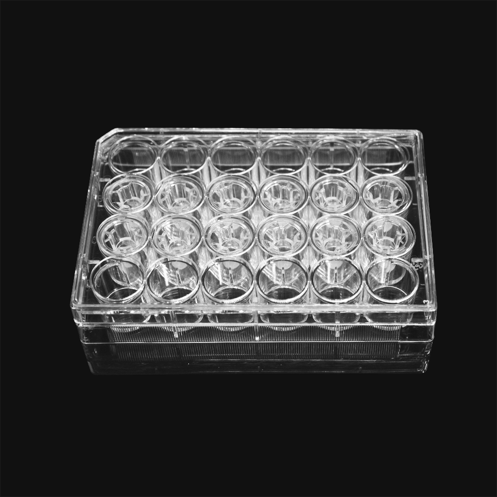 细胞侵袭小室,含24孔板(基质胶包被,PET膜,6.5mm,孔径8.0μm)(14347)