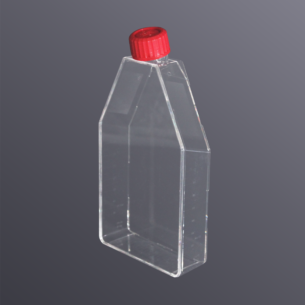175c㎡细胞培养瓶(透气盖,多聚-D-赖氨酸包被表面)（13342）