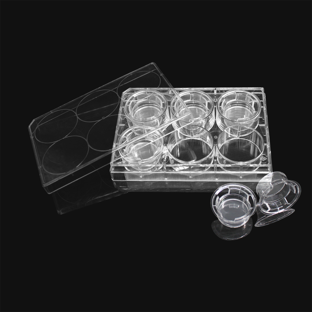 细胞培养小室,含6孔板(PET膜,24mm,孔径0.1μm)(14102)