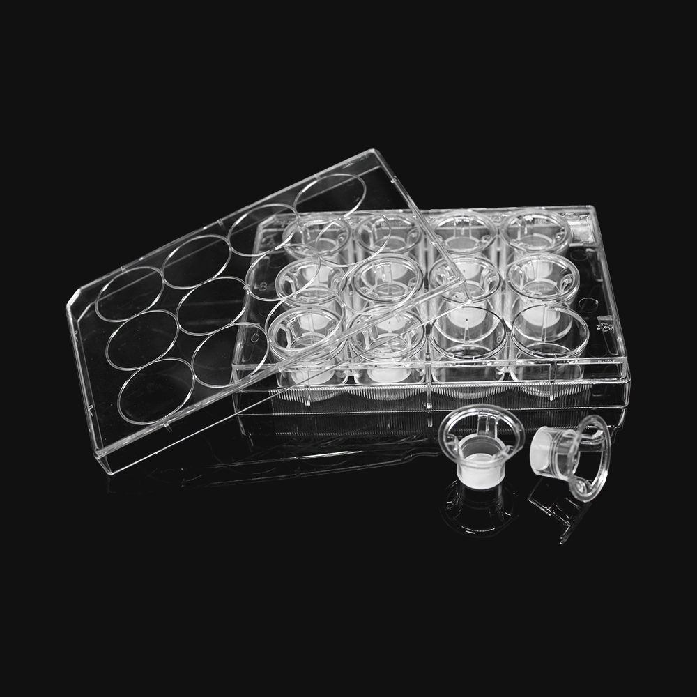 细胞培养小室,含12孔板(PC膜,12mm,孔径5.0μm)(14231)