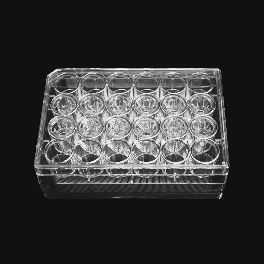 细胞培养小室,含6孔板(PET膜,不透明,24mm,孔径0.4μm)(14114)