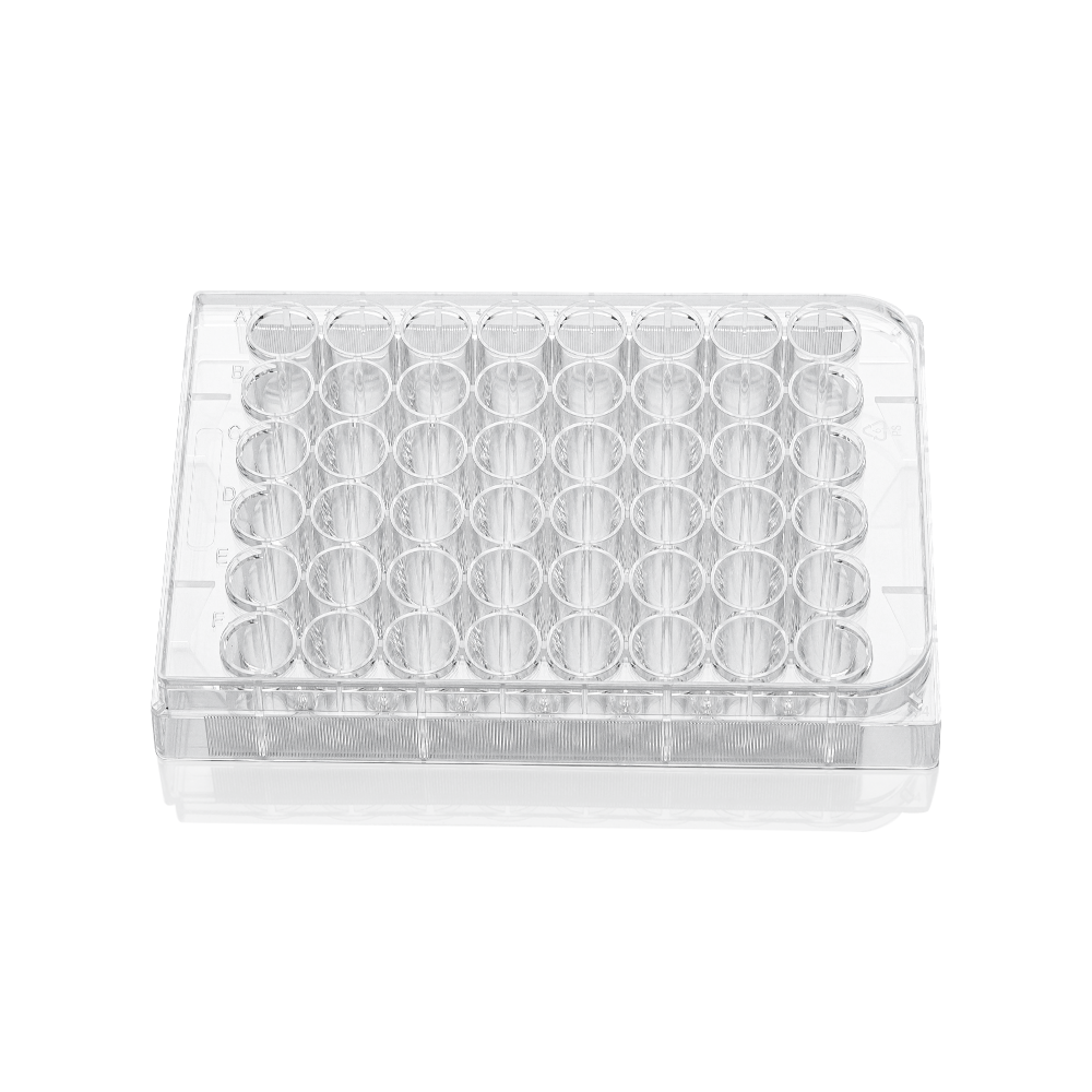 11420 48孔细胞培养板(未TC处理)（11420）