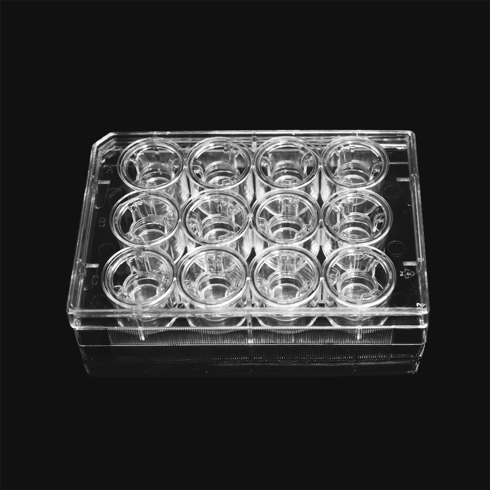 细胞培养小室,含12孔板(PET膜,不透明,12mm,孔径3.0μm)(14224)